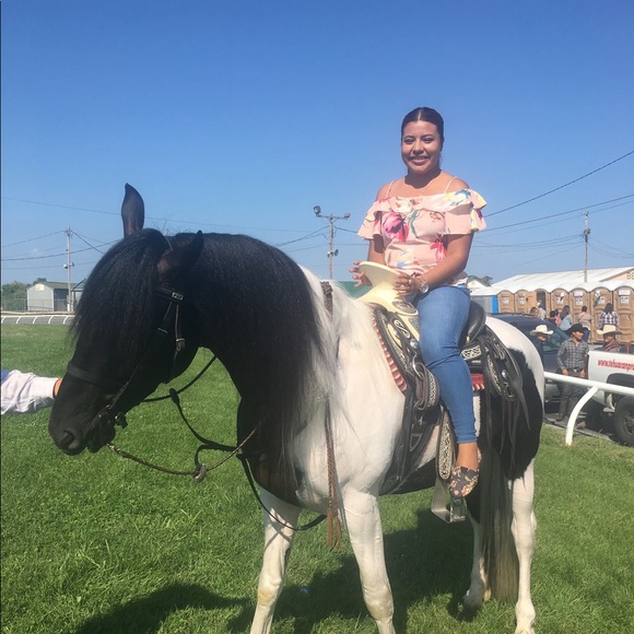 Blouse - Picture 3 of 3